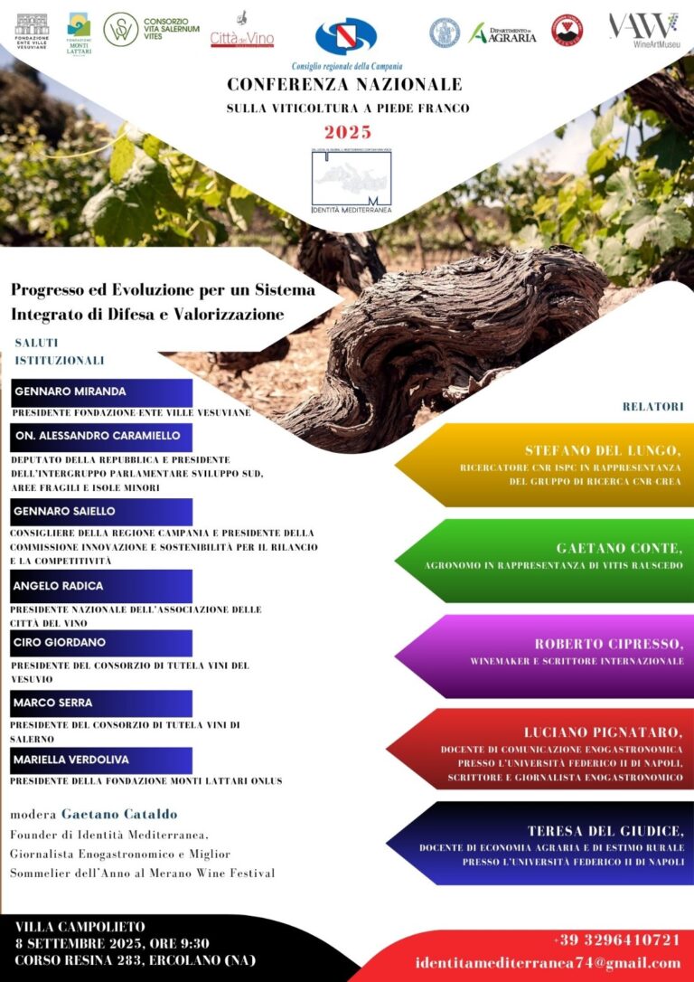 WhatsApp Image 2025-08-27 at 12.49.05